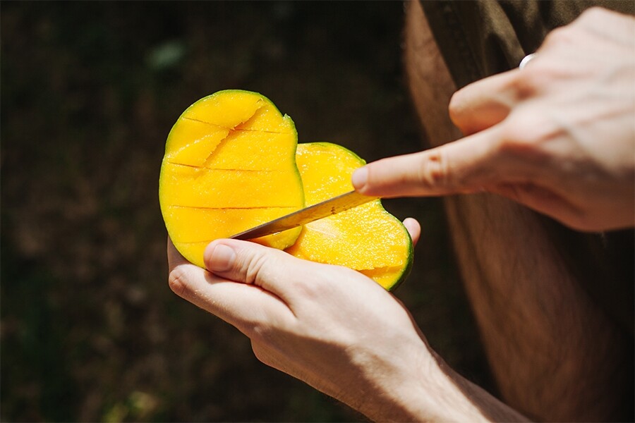 芒果含有大量纖維與酶，兩者均有助消化，曾有專門研究治療慢性便秘的