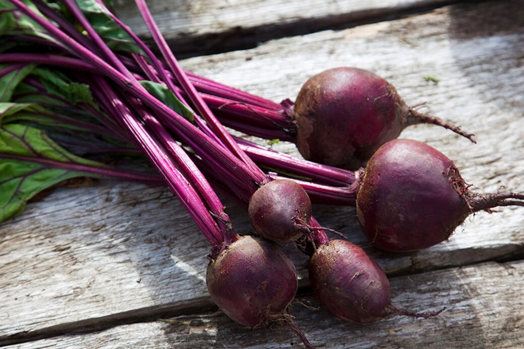 眾所周知紅菜頭的抗氧化能力高，原因是紅菜頭當中含有花青素及天然