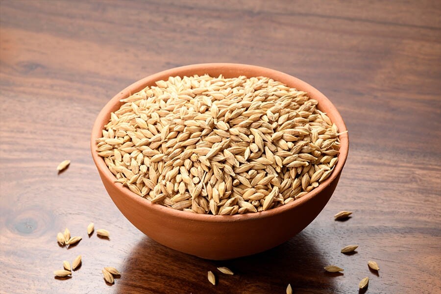 小米相比其他米種軟身，易入口，是入門之選。小米蛋白是一種低過敏性蛋