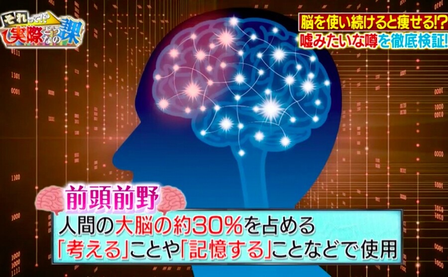 節目指出當大腦在思考的時候，可以令位於大腦額葉前部的前額葉皮質
