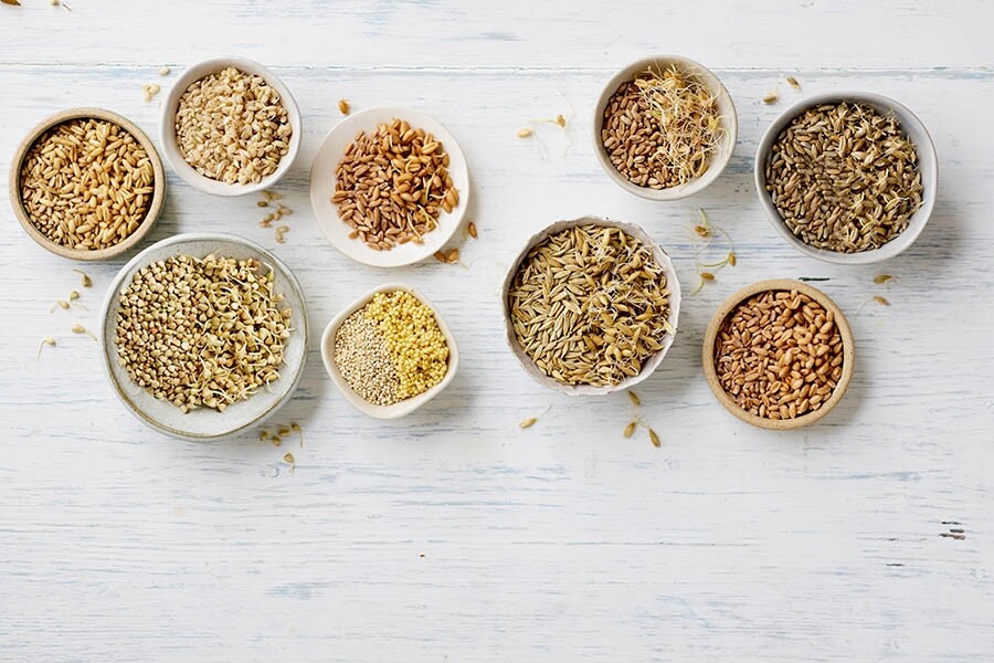 名種穀物因其品種及處理方法不同而有不同質感、顏色形狀以及營養價