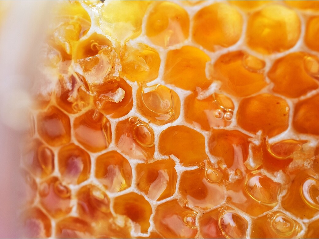 蜂蜜含有多種維生素、礦物質、胺基酸、酵素及抗氧化物，如多酚、槲皮素、類黃