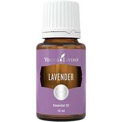 Young Living 薰衣草精油 $316/15ml