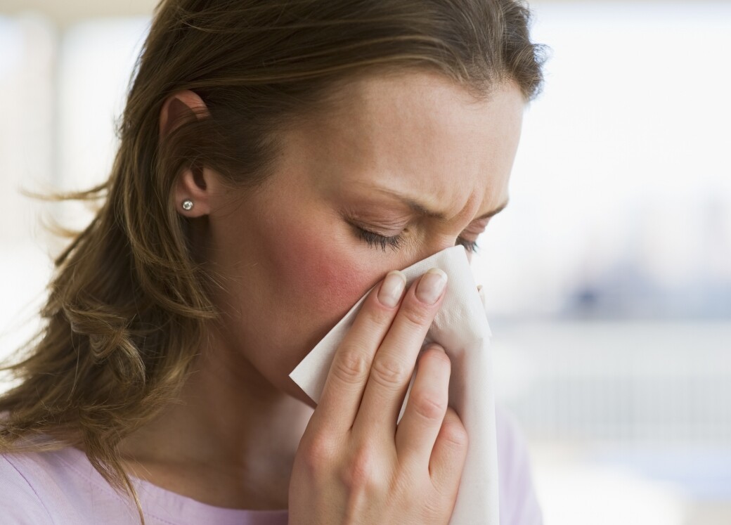 原來，鼻敏感與感冒所用的精油是不同的。Lily指，感冒是下呼吸道的疾病，所