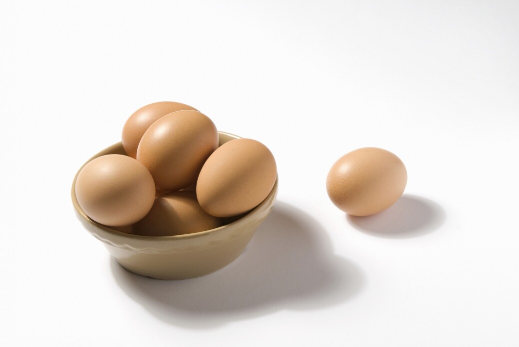 對比其他果仁，開心果的蛋白質較為豐富，1安士已含有1隻細雞蛋的蛋