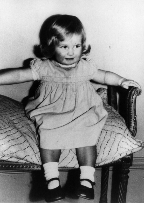 戴安娜王妃於1961年7月1日出生，是著名的貴族Spencer Family 之，2歲時的戴安娜