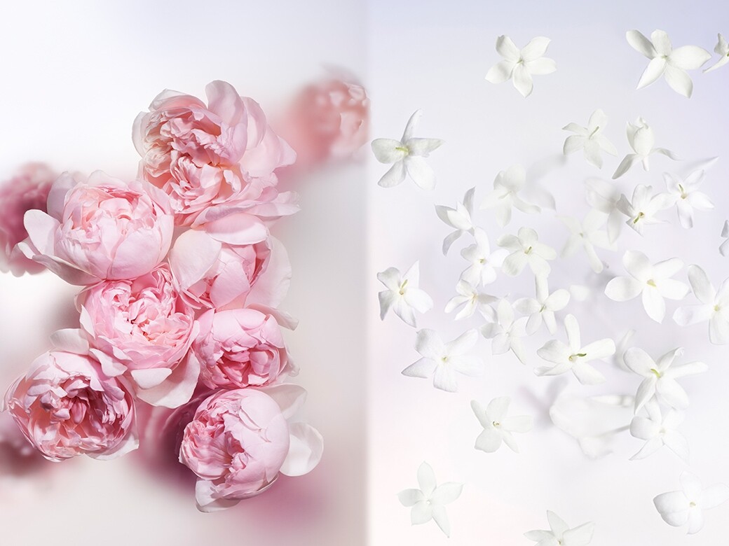 Jacques Cavallier Belletrud 從夢幻的香水名字汲取靈感，以盛放的鮮花創作香氛，向喜愛的格
