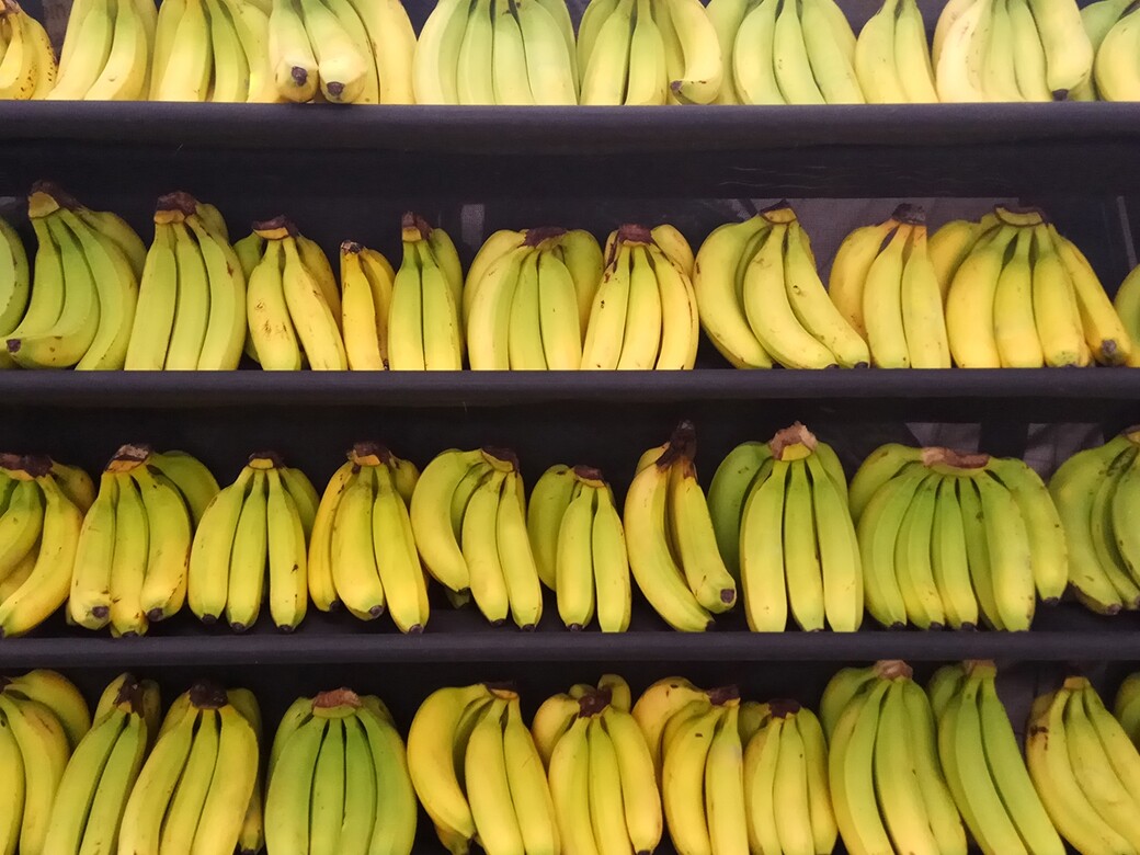 成熟的香蕉（黃色香蕉）糖分含量比較高，因此升糖指數和血糖也會跟着上