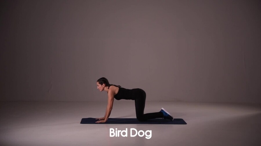 跪姿撐體這個動作同時鍛練腹部、下背和身體平衡力，對於最初重拾運動