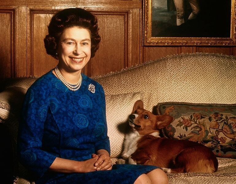 英女王原來也是一名愛狗之人！她在18歲收到一隻叫Susan的柯基，就連度蜜