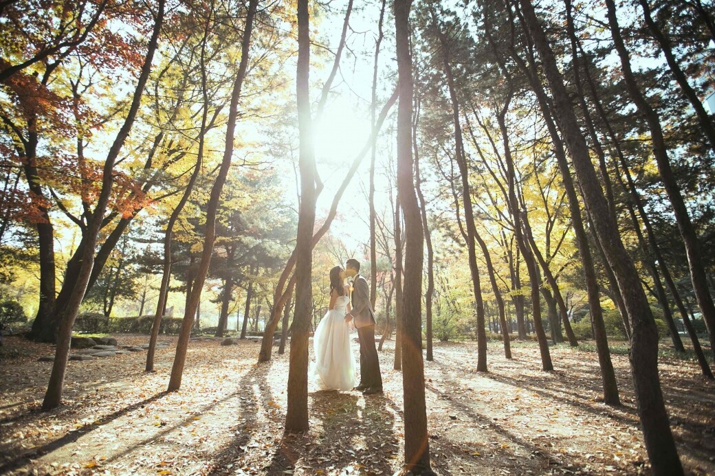 韓國首爾Pre Wedding婚攝地點推介！這5個戶外地方最適合影婚紗相