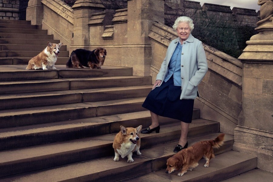 英女王最後一隻哥基犬逝世！30隻「皇犬哥基」中歷年最受寵的是牠！