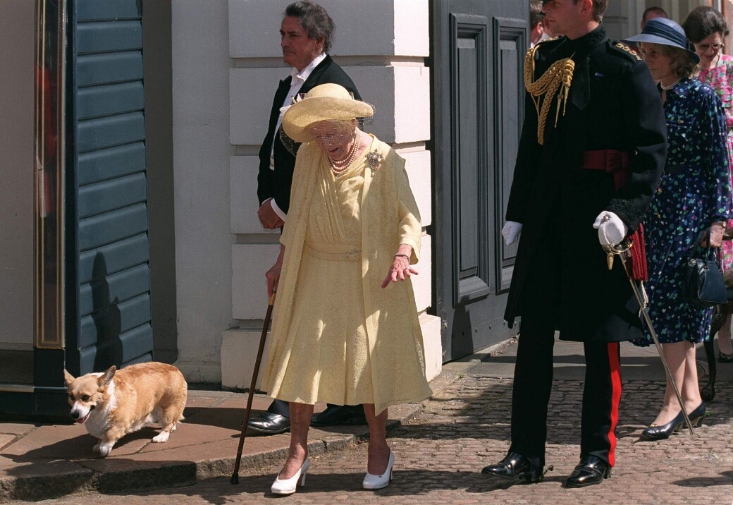 英女皇雖貴為一國之君，每天親自為愛犬翻開毛髮檢查有沒有蚤子，親自