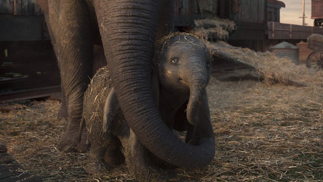 《小飛象》由小馬戲團轉到大馬戲團，Dumbo愈演愈紅大受歡迎之時，牠的母親卻