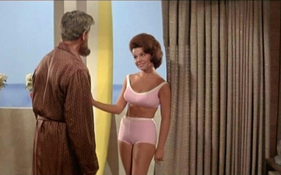 1963年，Annette Funicello於電影Beach Party中的淺粉紅色比堅尼造型成為美國熱話。美國樂隊