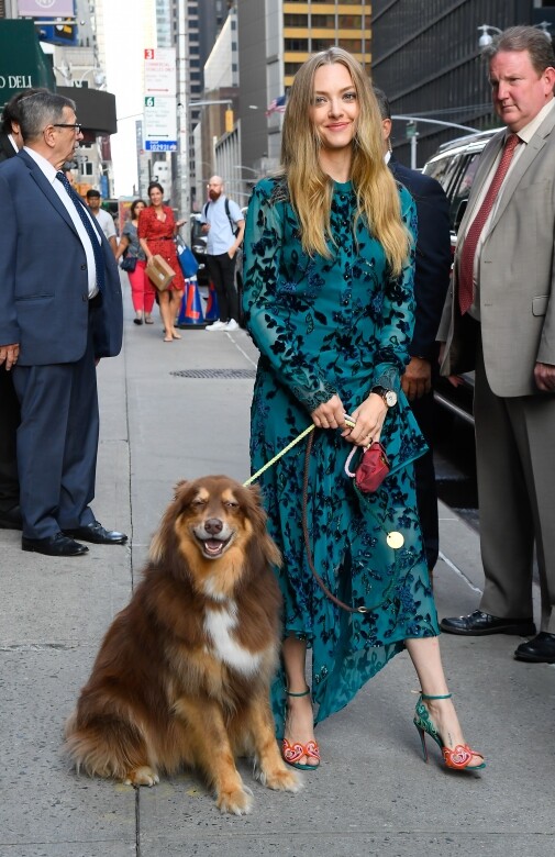 《辣妹過招》的女星Amanda Seyfried帶同小狗Finn一起出席拍攝，洋溢優雅動人的風範。