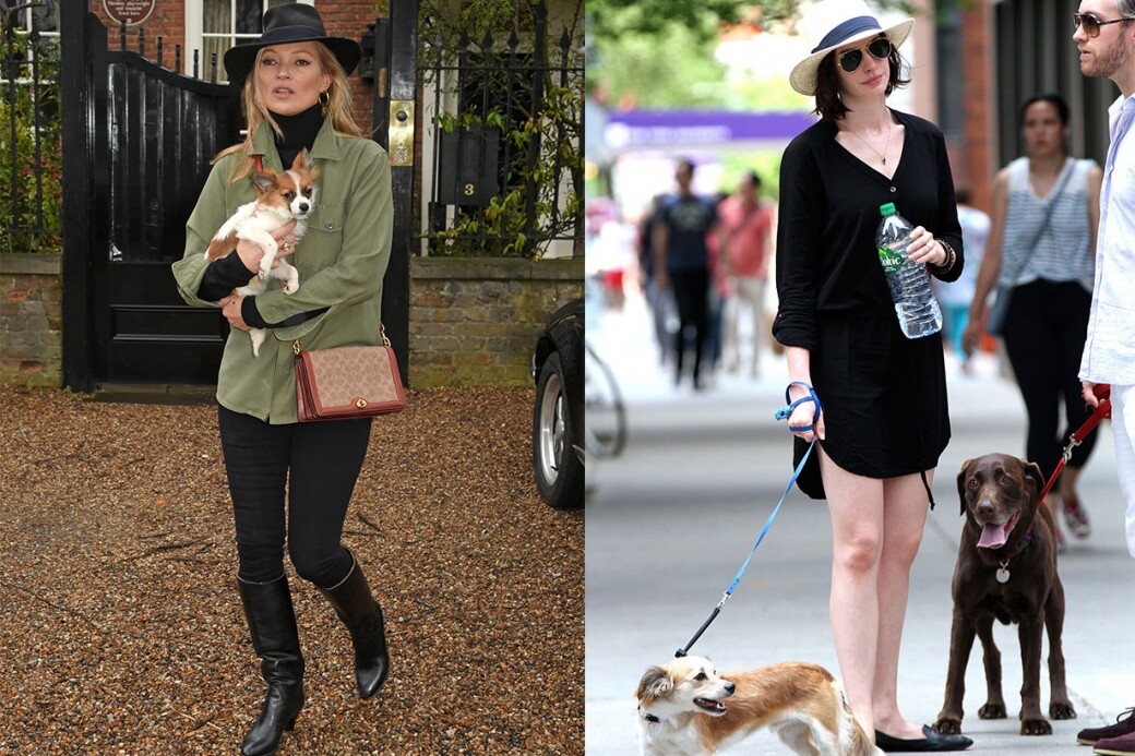 超模Kate Moss與Anne Hathaway的遛狗look