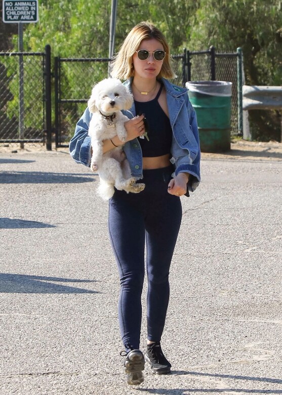《美少女的謊言》的女星Lucy Hale帶着小狗Elvis逛街，整體看起來更性感有型。