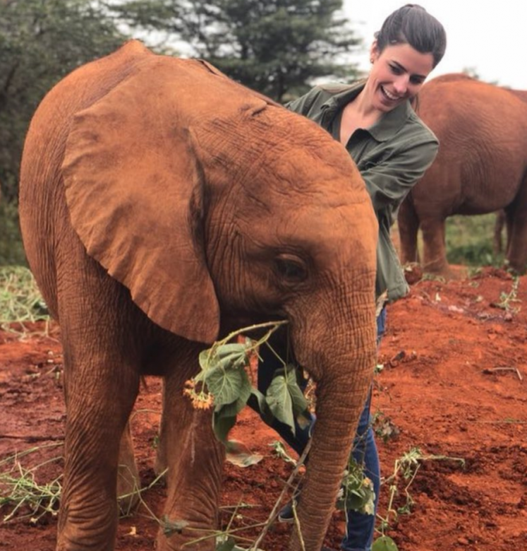 上年第一夫人Melania Trump單獨訪問非洲，Madeleine 也有同行，還在肯亞與小象接觸，穿上
