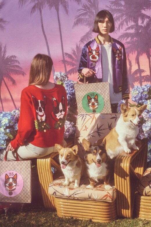 Alessandro Michele與Orso、Bosco 雖然Gucci創意總監Alessandro Michele對自己兩隻小犬從不愛得高調， 在其個
