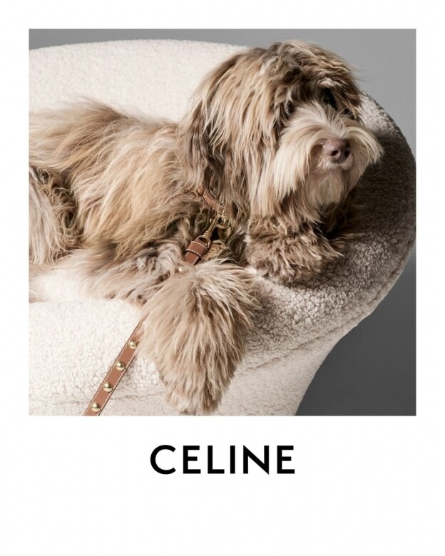 Celine找來Lisa演繹寵物系列