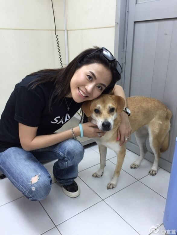 宣萱是一名愛狗之人，她的個人社交平台經常會上載她與愛犬的愉快合