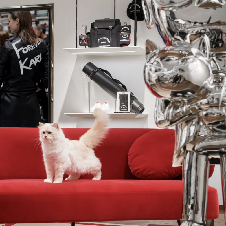 Karl Lagerfeld 品牌上的最好模特兒在 Karl Lagerfeld 品牌的IG上，我們也找到了 Choupette 在工作室