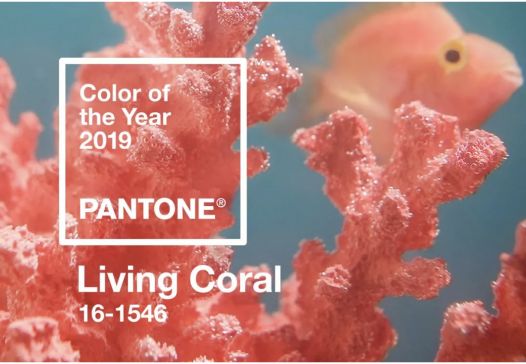 大家還記得Pantone發布的2019年度流行色—  “Living Coral”珊瑚色嗎？由於環境污染，現在的