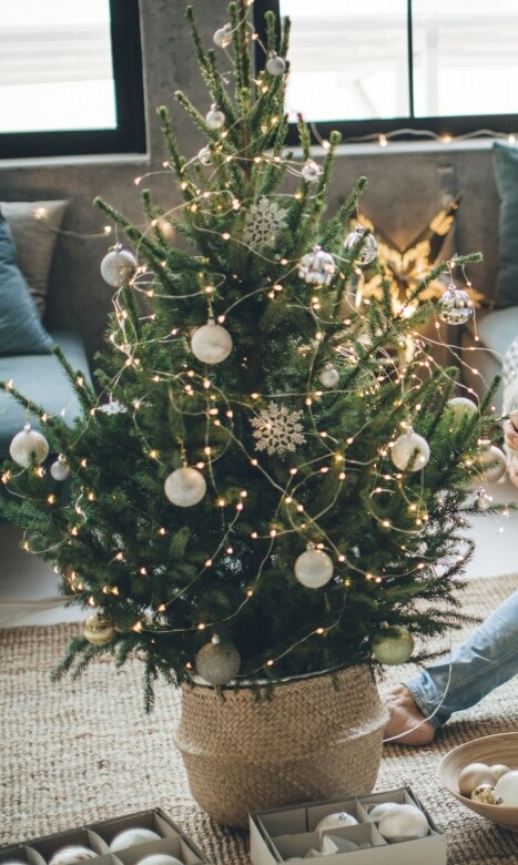 大型聖誕樹裝飾：聖誕是家人相聚的時刻，而相信每個家庭都有大量的珍