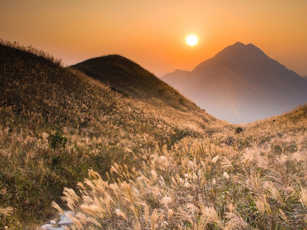 冬天芒草季來了!香港大東山、老虎頭等賞芒草打卡景點推介! 冬天芒草季來了!香港大東山、老虎頭等賞芒草打卡景點推介!