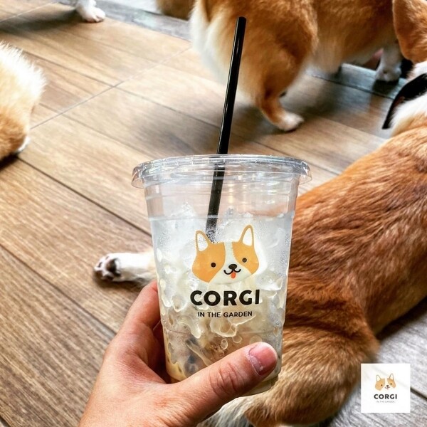 哥基 狗 可愛 Corgi cafe cute Corgi In The Garden