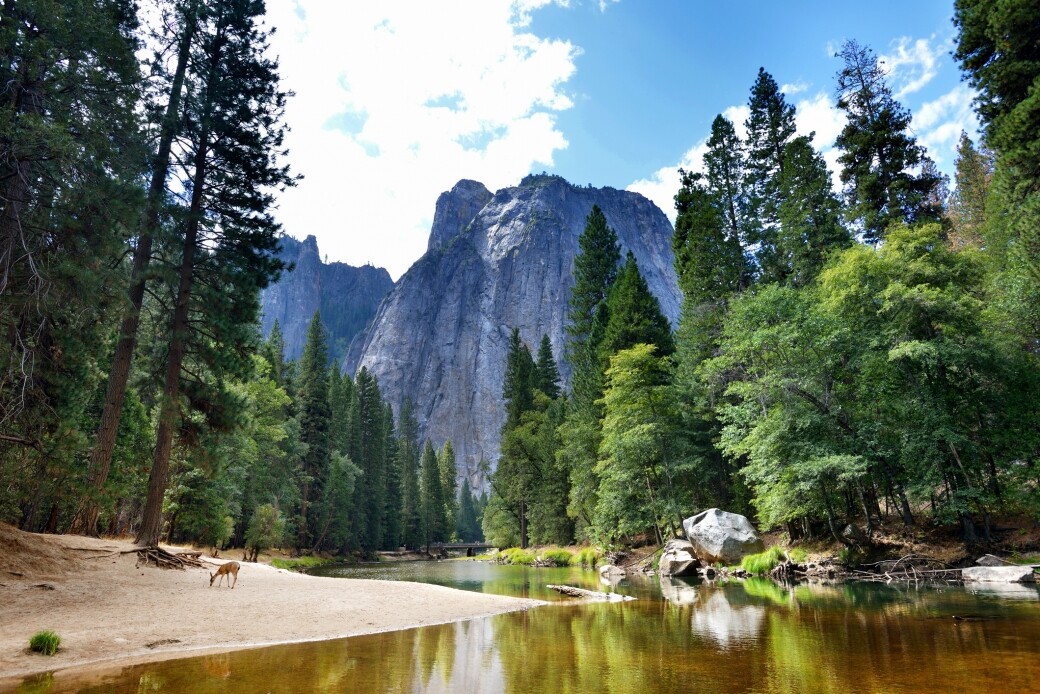 Google earth Yosemite National Park 優勝美地國家公園