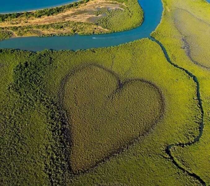 旅行 旅遊 心形 景點 浪漫 打卡 heart shaped places travel love romance 新喀裡多尼亞 心形紅樹林