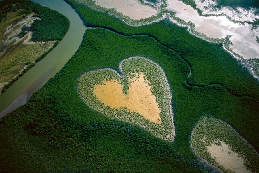 旅行 旅遊 心形 景點 浪漫 打卡 heart shaped places travel love romance 新喀裡多尼亞 心形紅樹林 從空中看地球