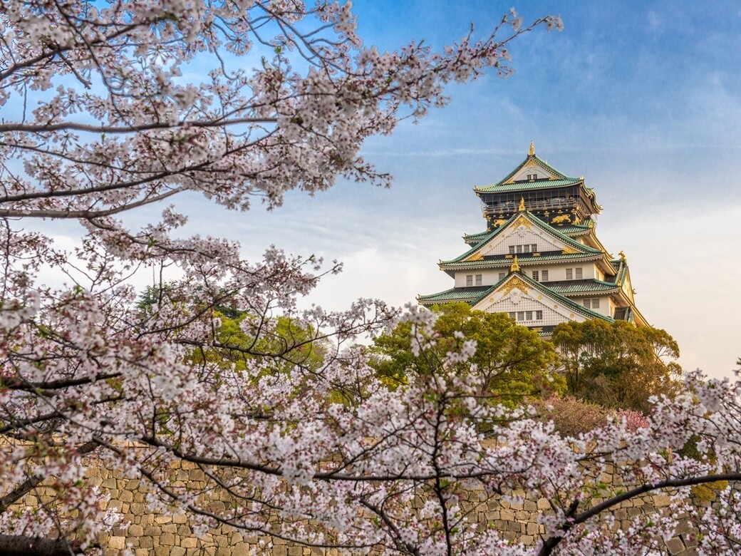 2020日本大阪櫻花情報公開！連人氣大阪城7個必去賞櫻景點推介