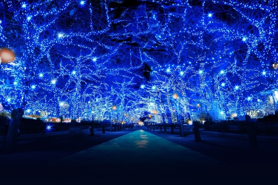 抬頭一看，神秘深藍色的聖誕燈飾