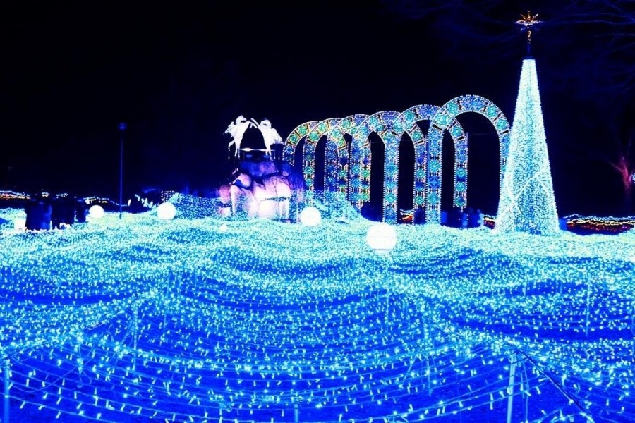 京都燈雪節（京都ILLUMIERE）是關西最大型燈飾活動