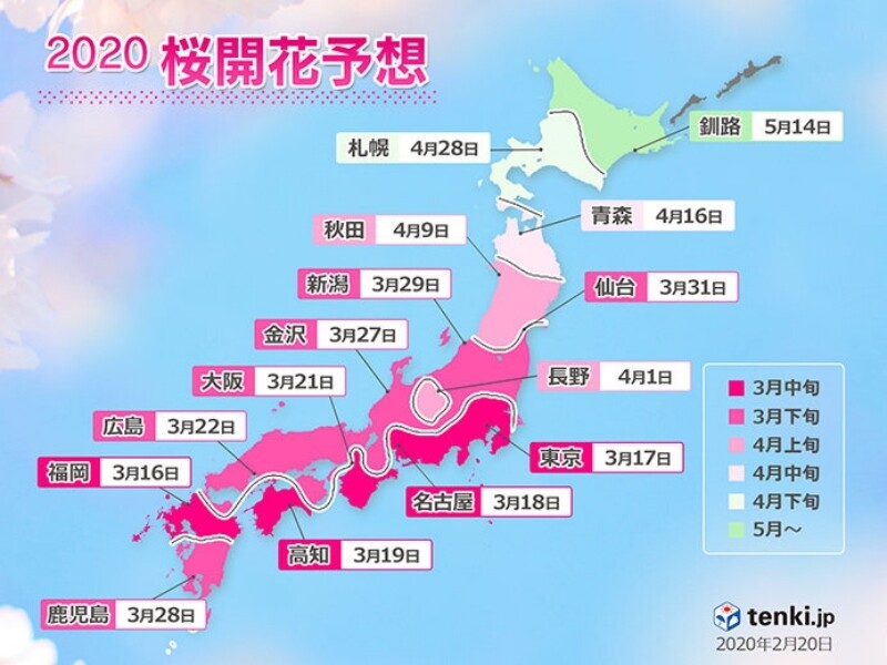 我們再參考多一個預測資料，由日本氣象協會公佈的櫻花情報圖