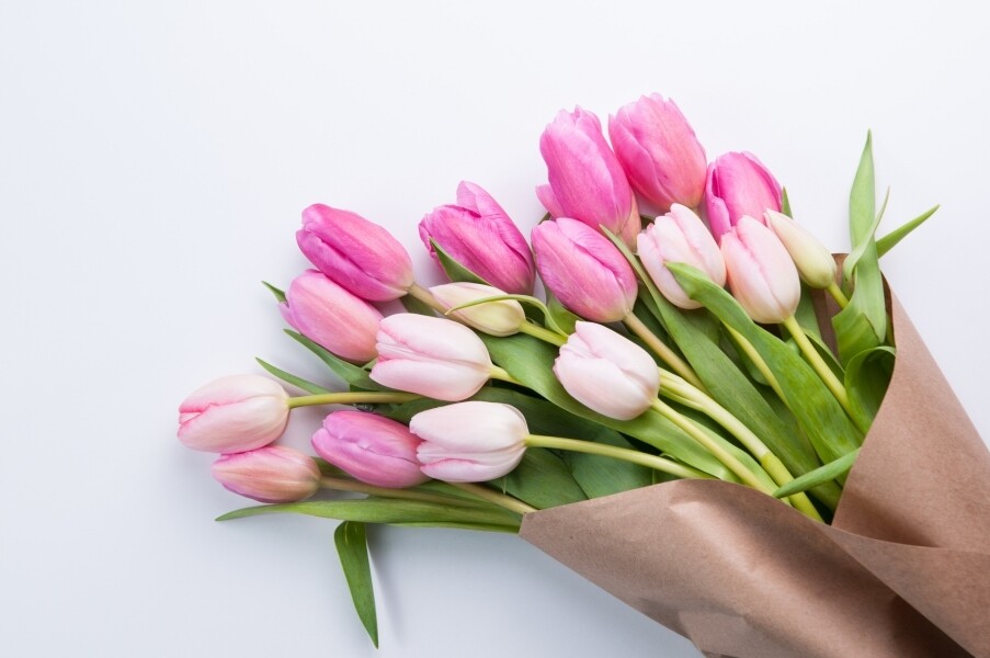 鬱金香被歐洲人稱為「魔幻之花」