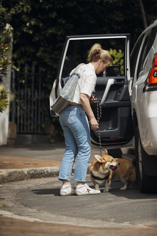想帶狗隻到狗公園散步，或去到獸醫診所，現在更方便！Uber的香港用戶現在