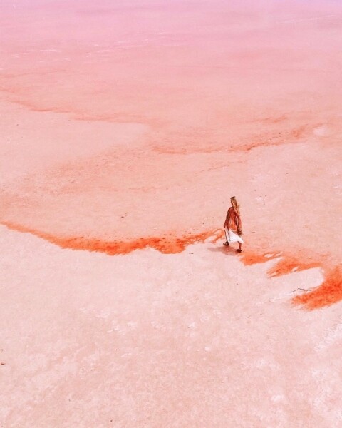 澳洲-粉紅湖 Hutt Lagoon Travel pink places 粉紅色 打卡 景點