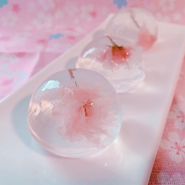 櫻花水信玄餅 果凍食譜 recipe jelly