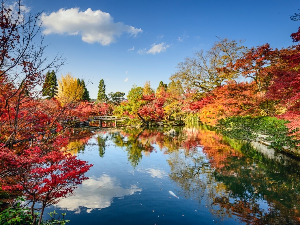 2019日本紅葉情報及景點推介！京都、大阪、東京等最美賞楓熱點
