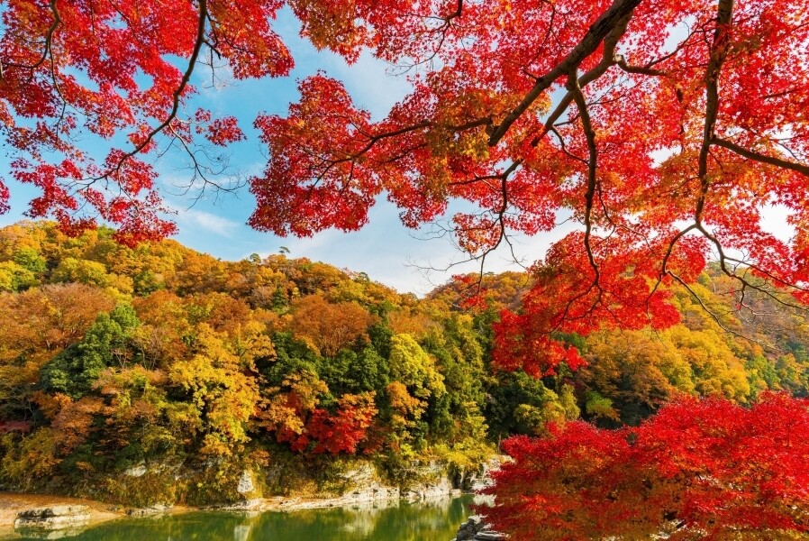 各大日本城市紅葉最佳觀賞日子