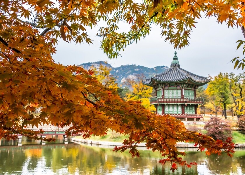 同場加映：首爾紅葉除了日本，韓國首爾也是大熱的賞紅葉的人氣之選，景