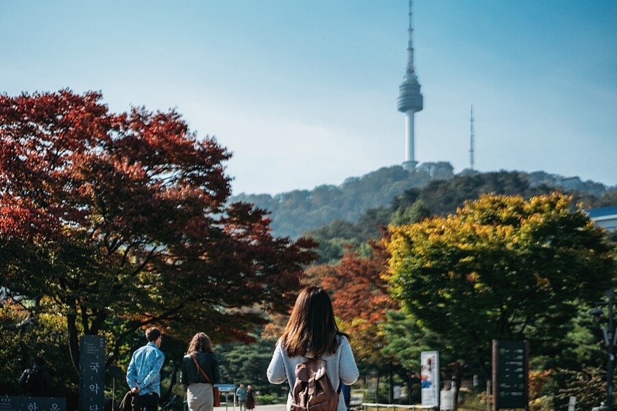 南山公園最佳觀賞時間︰10初至11月初於首爾市區，想找一處旺中帶靜的