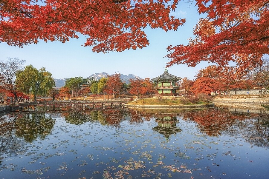 景福宮是韓國最大的傳統皇室宮殿