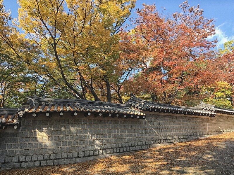 德壽宮的石牆路被譽為「韓國最美的街道」