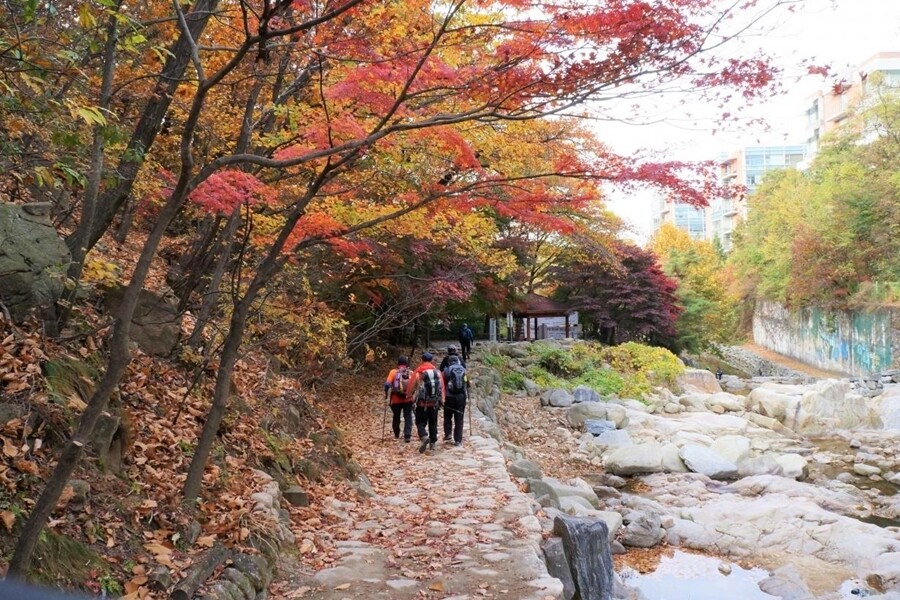 冠岳山高629米，韓國著名的首爾大學就是在冠岳山之中