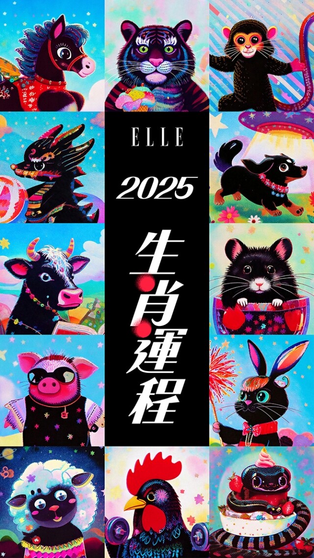 2025蛇年運程 ! 雲楚笙師傅12生肖完整運程分析